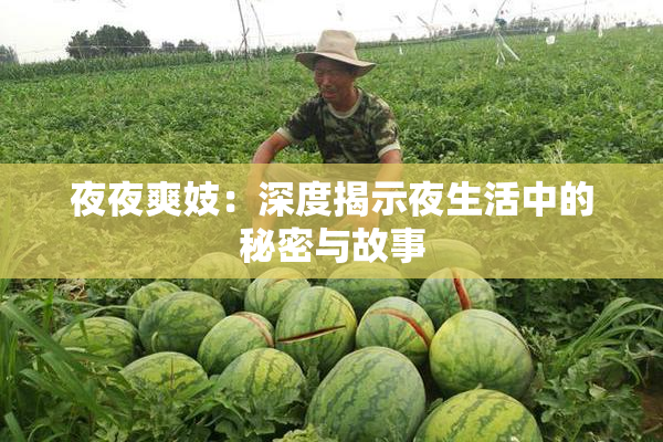 夜夜爽妓：深度揭示夜生活中的秘密与故事