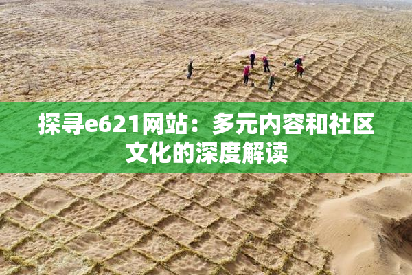 探寻e621网站：多元内容和社区文化的深度解读