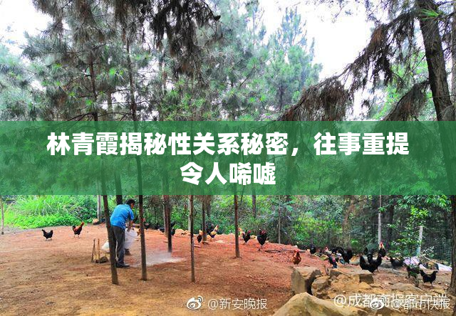 林青霞揭秘性关系秘密，往事重提令人唏嘘