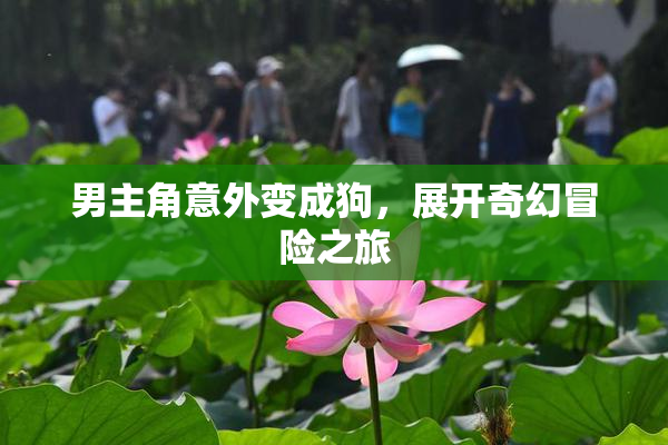 男主角意外变成狗，展开奇幻冒险之旅