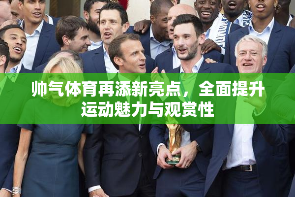 帅气体育再添新亮点，全面提升运动魅力与观赏性