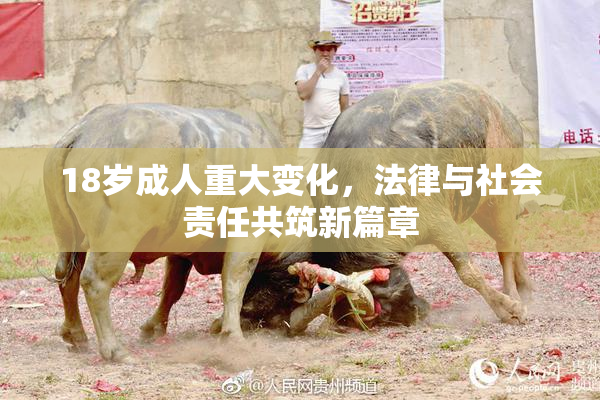 18岁成人重大变化，法律与社会责任共筑新篇章