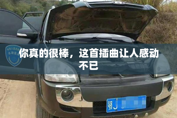 你真的很棒，这首插曲让人感动不已