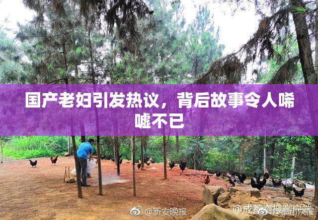 国产老妇引发热议，背后故事令人唏嘘不已