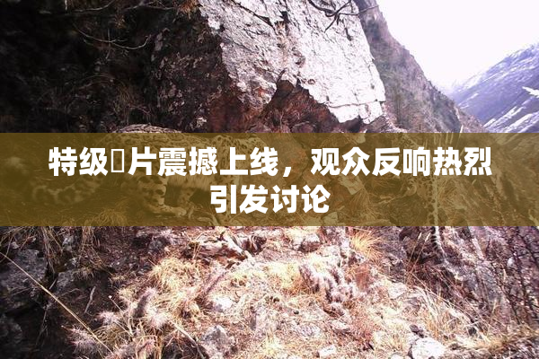 特级婬片震撼上线，观众反响热烈引发讨论