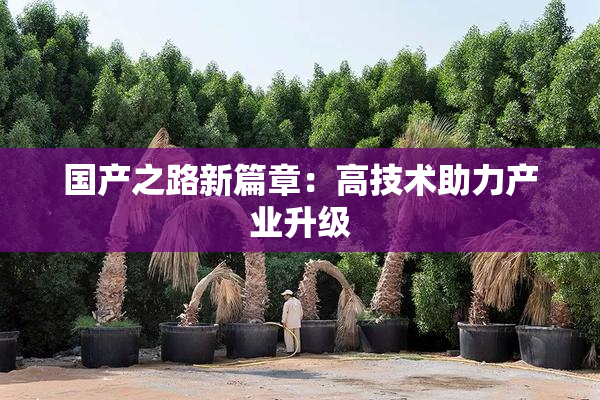 国产之路新篇章：高技术助力产业升级