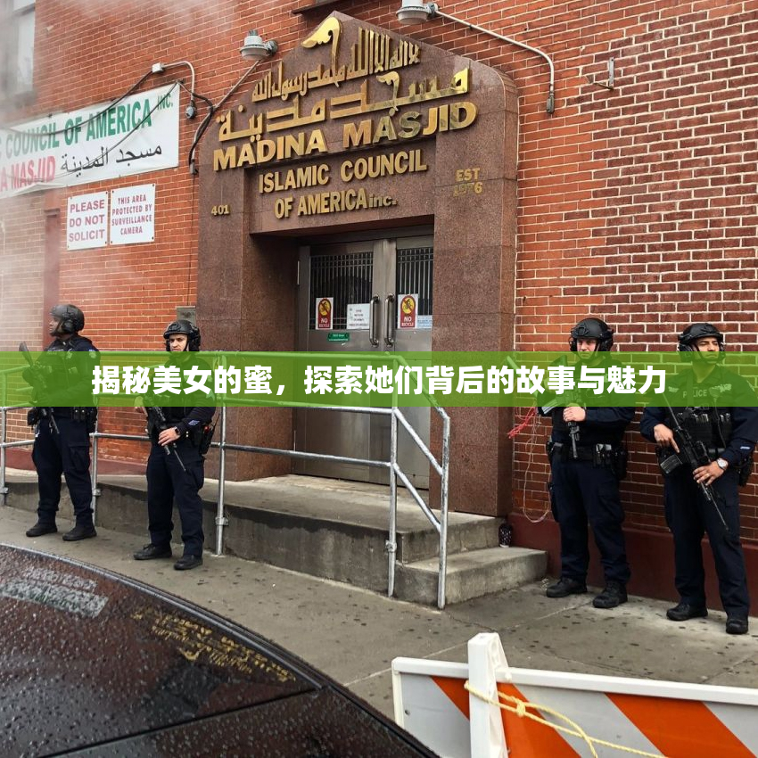 揭秘美女的蜜，探索她们背后的故事与魅力
