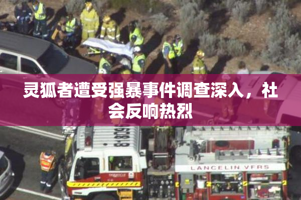灵狐者遭受强暴事件调查深入，社会反响热烈