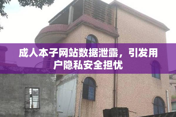 成人本子网站数据泄露，引发用户隐私安全担忧