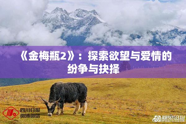 《金梅瓶2》：探索欲望与爱情的纷争与抉择