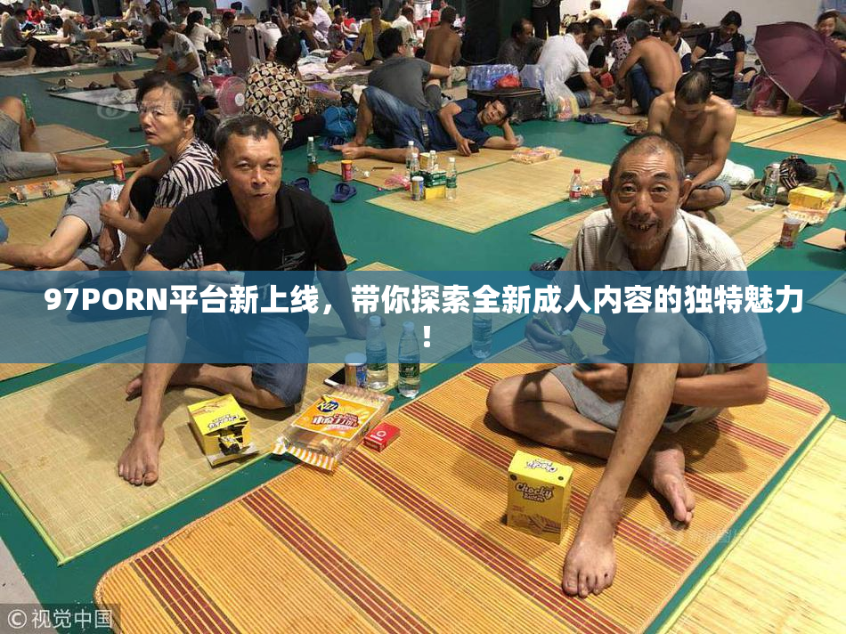 97PORN平台新上线，带你探索全新成人内容的独特魅力！