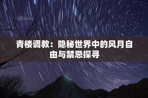 青楼调教：隐秘世界中的风月自由与禁忌探寻
