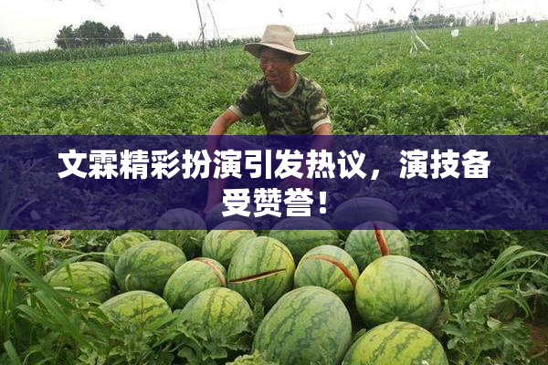 文霖精彩扮演引发热议，演技备受赞誉！