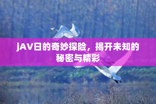 jA∨日的奇妙探险，揭开未知的秘密与精彩