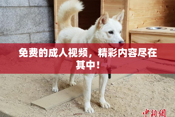 免费的成人视频，精彩内容尽在其中！