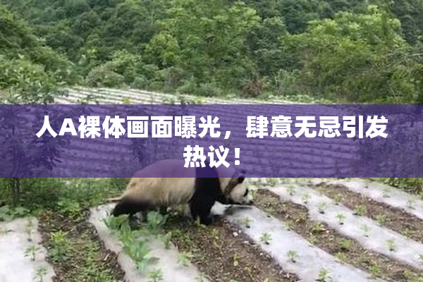人A裸体画面曝光，肆意无忌引发热议！