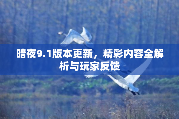 暗夜9.1版本更新，精彩内容全解析与玩家反馈
