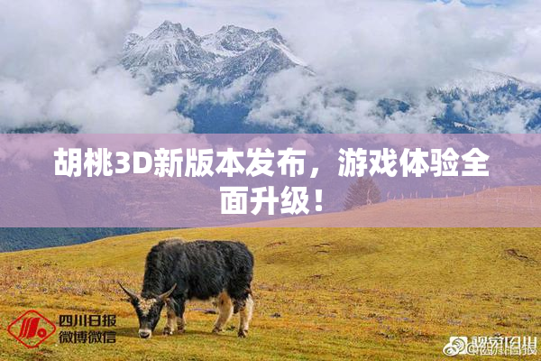 胡桃3D新版本发布，游戏体验全面升级！