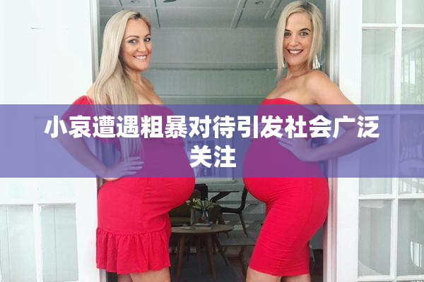 小哀遭遇粗暴对待引发社会广泛关注