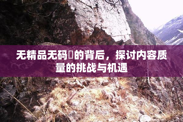 无精品无码囯的背后，探讨内容质量的挑战与机遇