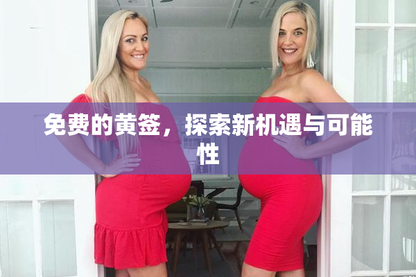 免费的黄签，探索新机遇与可能性