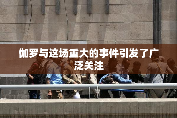 伽罗与这场重大的事件引发了广泛关注