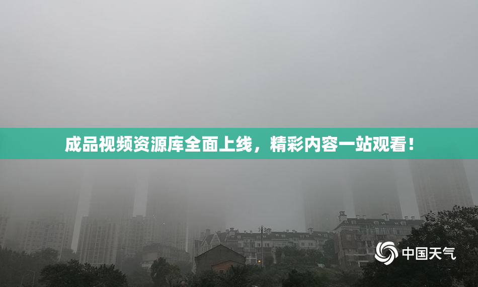 成品视频资源库全面上线，精彩内容一站观看！