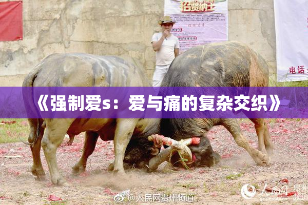 《强制爱s：爱与痛的复杂交织》