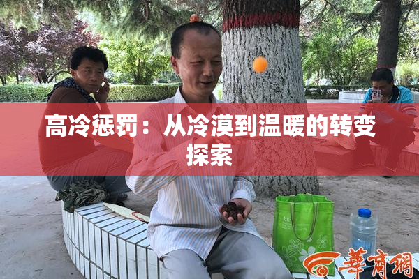高冷惩罚：从冷漠到温暖的转变探索