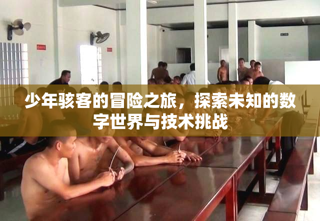 少年骇客的冒险之旅，探索未知的数字世界与技术挑战