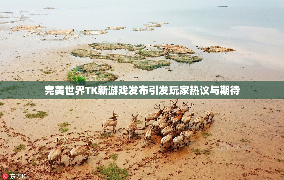完美世界TK新游戏发布引发玩家热议与期待