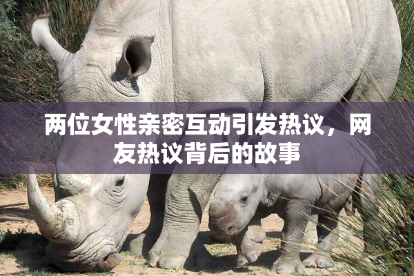 两位女性亲密互动引发热议，网友热议背后的故事