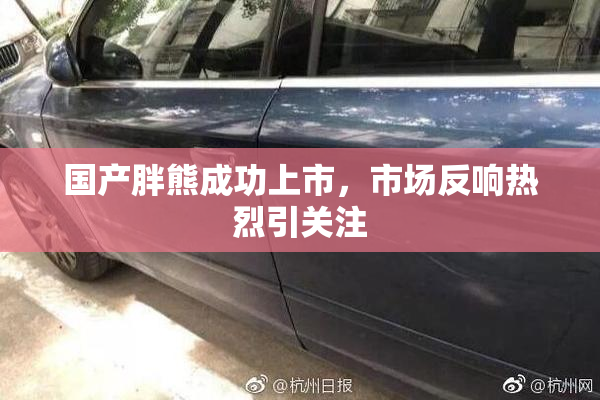 国产胖熊成功上市，市场反响热烈引关注