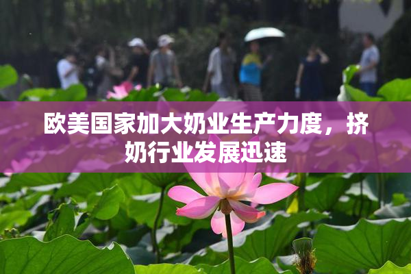 欧美国家加大奶业生产力度，挤奶行业发展迅速