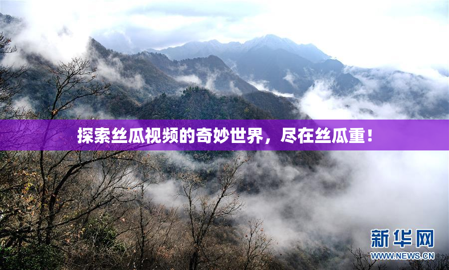 探索丝瓜视频的奇妙世界，尽在丝瓜重！
