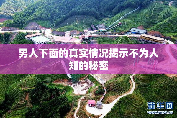 男人下面的真实情况揭示不为人知的秘密