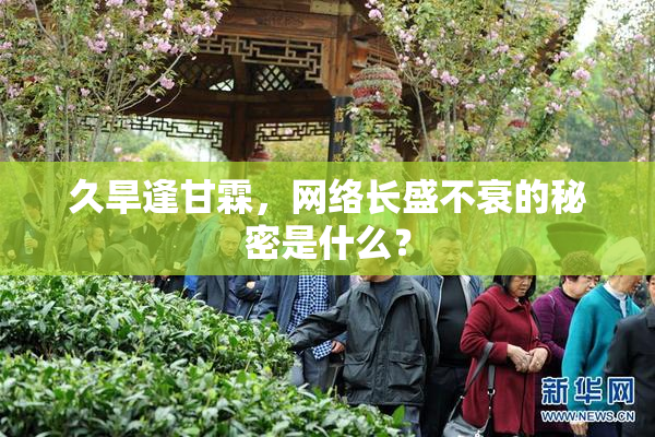 久旱逢甘霖，网络长盛不衰的秘密是什么？