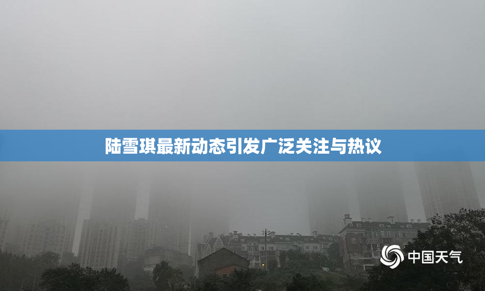 陆雪琪最新动态引发广泛关注与热议