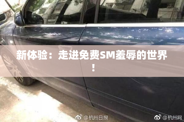 新体验：走进免费SM羞辱的世界！