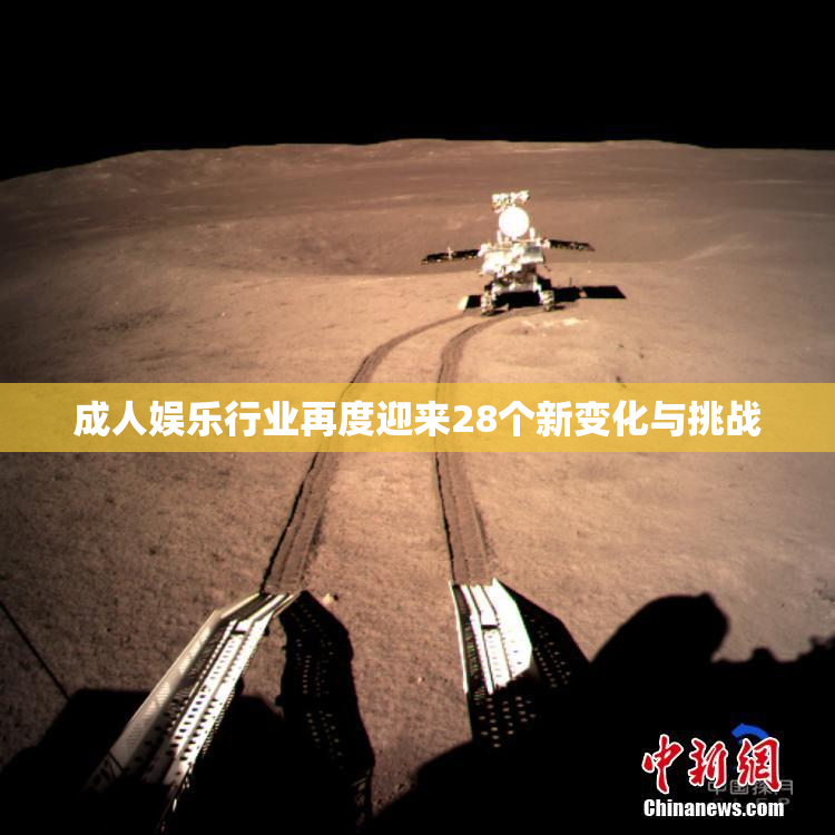 成人娱乐行业再度迎来28个新变化与挑战