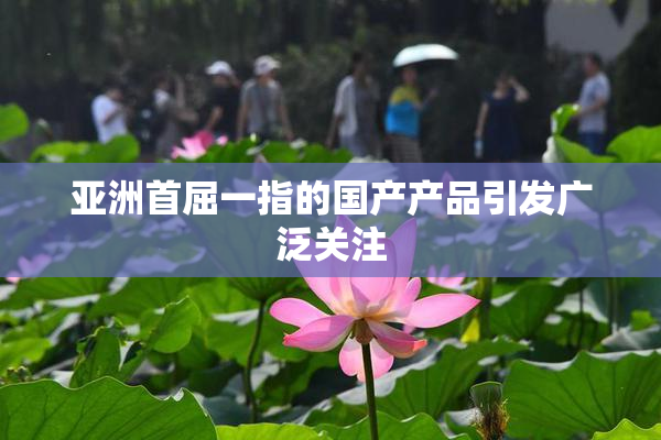 亚洲首屈一指的国产产品引发广泛关注