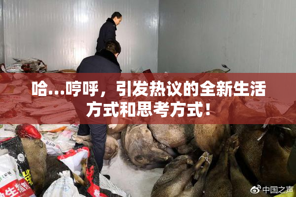 哈…哼呼，引发热议的全新生活方式和思考方式！