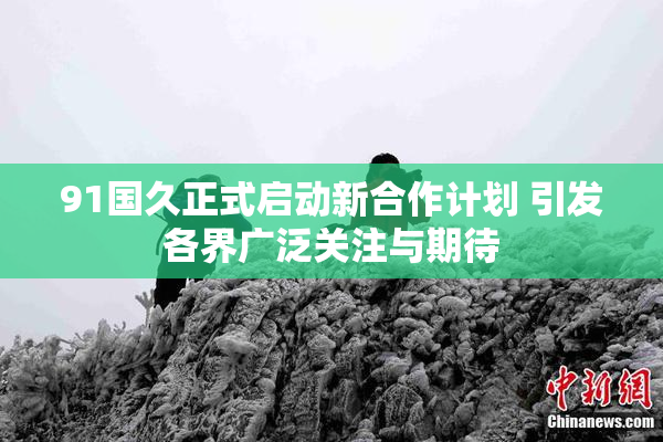 91国久正式启动新合作计划 引发各界广泛关注与期待