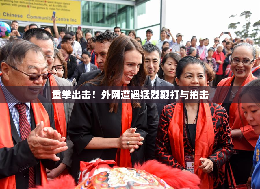 重拳出击！外网遭遇猛烈鞭打与拍击