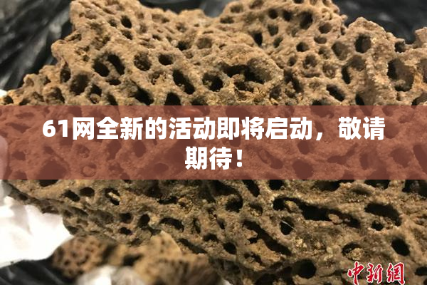 61网全新的活动即将启动，敬请期待！