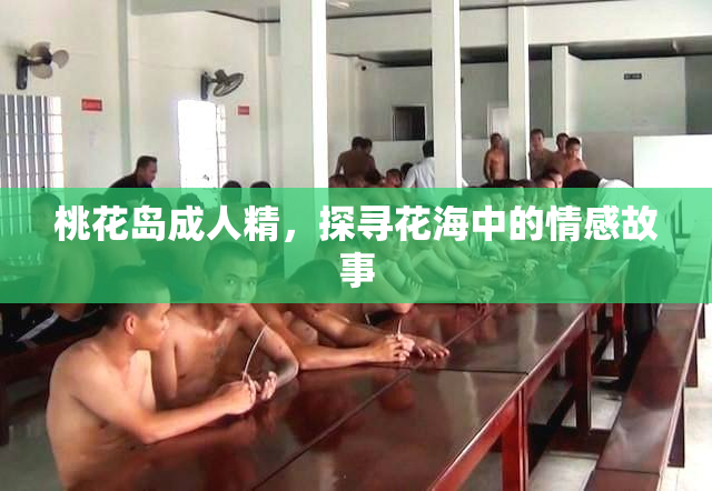 桃花岛成人精，探寻花海中的情感故事