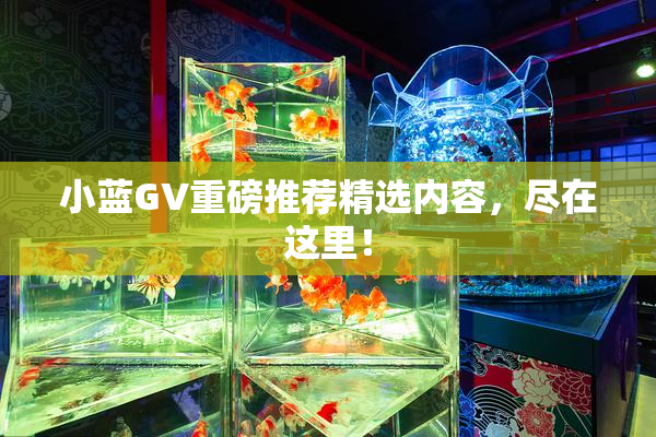 小蓝GV重磅推荐精选内容，尽在这里！