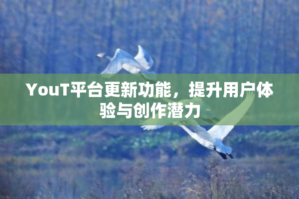 YouT平台更新功能，提升用户体验与创作潜力