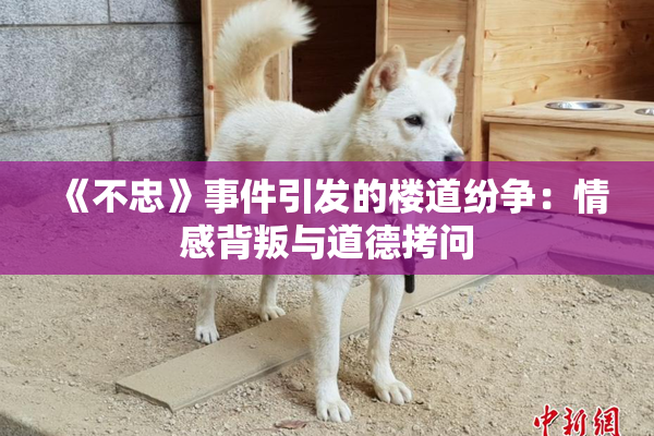 《不忠》事件引发的楼道纷争：情感背叛与道德拷问