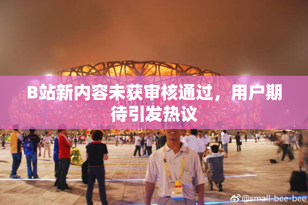 B站新内容未获审核通过，用户期待引发热议